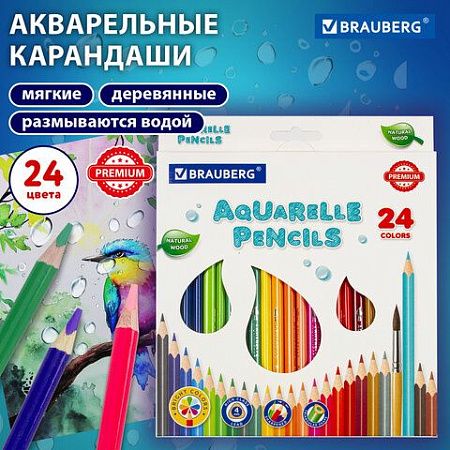 Карандаши цветные акварельные BRAUBERG PREMIUM AQUARELLE, 24 цвета, грифель мягкий 4 мм, 181673