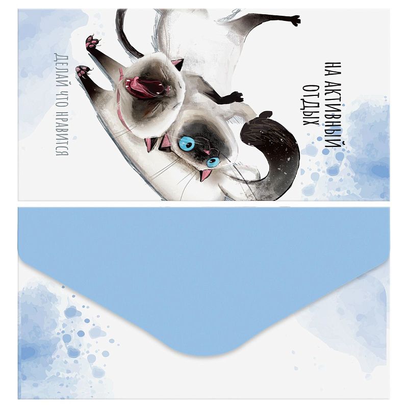 Конверт для денег MESHU "Cute kittens" 85*164мм, матовая ламинация, 5 дизайнов