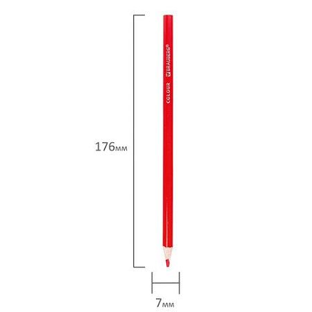 Карандаши цветные BRAUBERG PREMIUM, 12 цветов, трехгранные, грифель мягкий 3,3 мм, 181651
