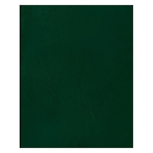 Тетрадь 80л., А4 клетка BG, бумвинил, зеленый