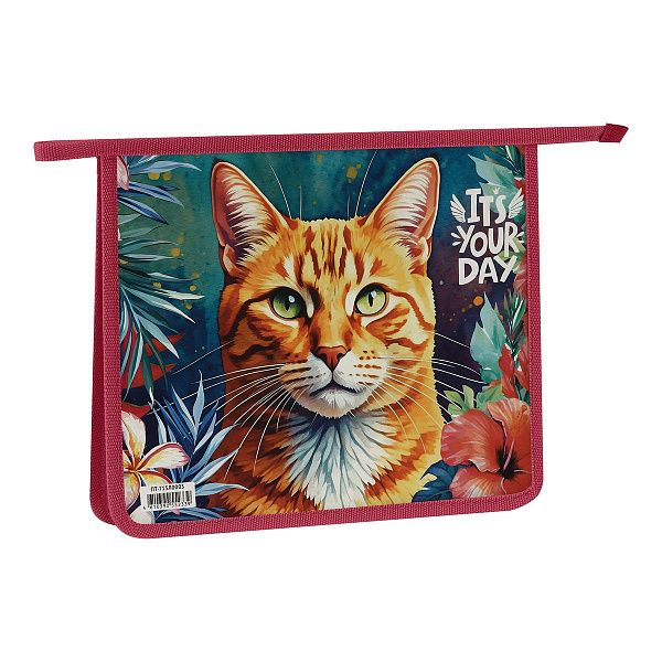 Папка для тетрадей 1 отделение, ArtSpace "The Red Cat", А5, пластик, на молнии