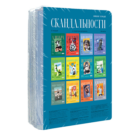 Комплект (12 шт.) предметных тетрадей 48л. BG "Скандальности", глянцевая ламинация