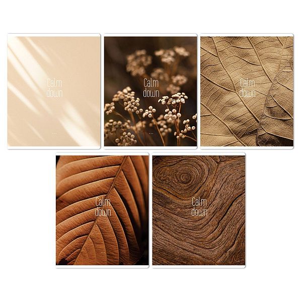 Тетрадь 96л., А5, клетка BG "Calm down", суперэконом