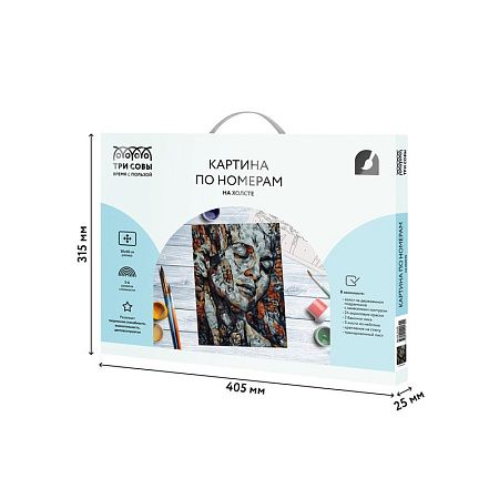 Картина по номерам на холсте ТРИ СОВЫ "Абстракция", 30*40см, с акриловыми красками и кистями