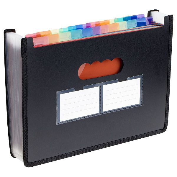 Лоток-органайзер для хранения документов СТАММ А4, 25 отделения,  черный