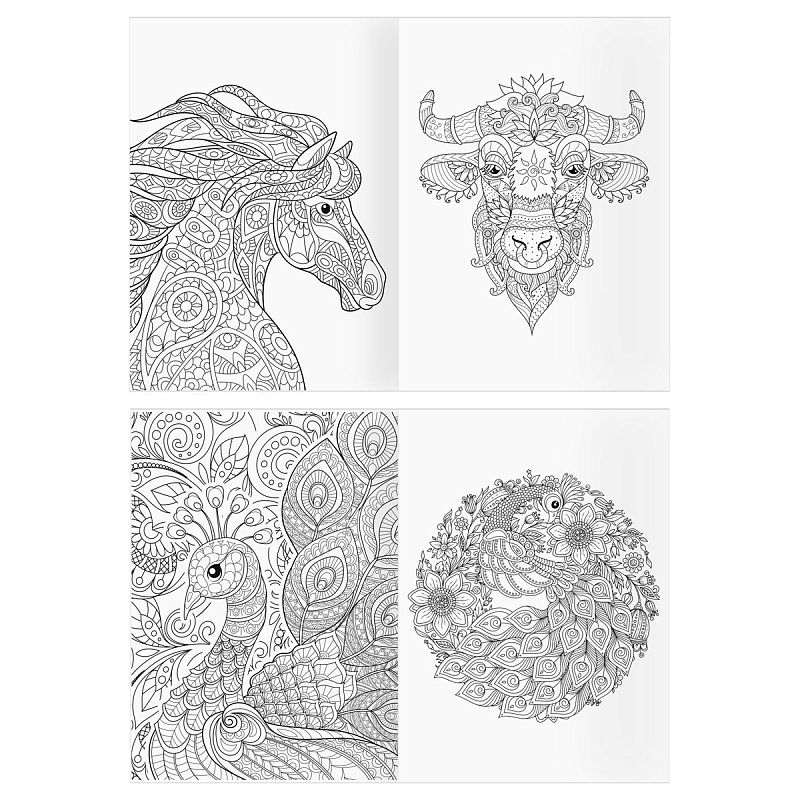 Раскраска А4 ТРИ СОВЫ "Антистресс. Удивительные животные", 16стр.