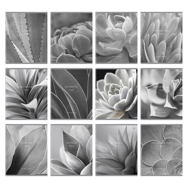 Комплект (12 шт.) предметных тетрадей 48л. BG "Succulents", матовая ламинация