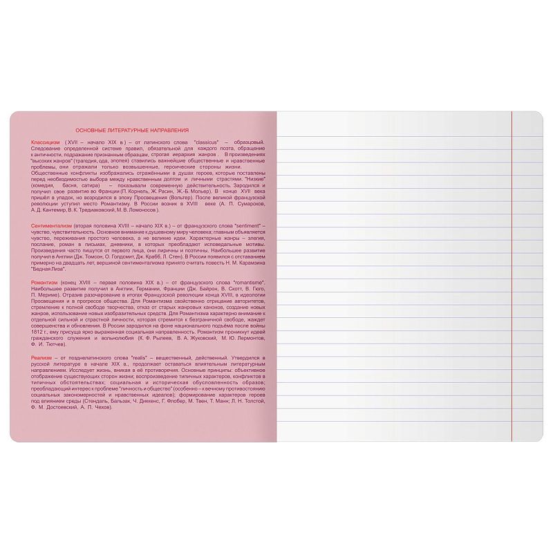 Тетрадь предметная 48л. BG "Информационное поле" - Литература, soft-touch ламинация, выб. лак