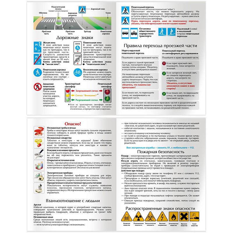Дневник 1-4 кл. 48л. (ЛАЙТ) BG "My little frog", матовая ламинация