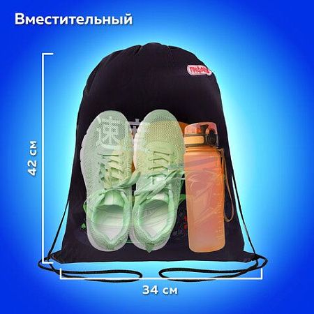 Мешок для обуви ПИФАГОР, 1 отделение, 40х32 см, Dive into drive, 272388 