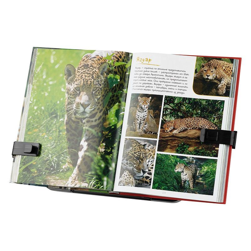 Подставка для книг СТАММ, пластиковая, черная, с дополнительными держателями 