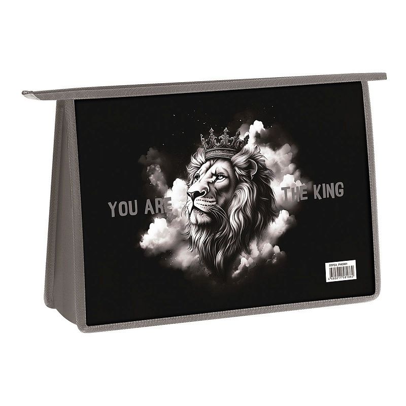 Папка для труда 2 отделения, А4, ArtSpace "King", пластик, на молнии 