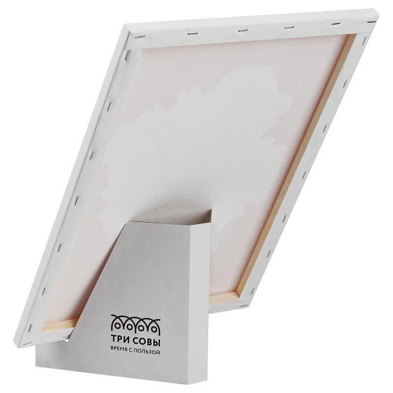 Картина по номерам на холсте с глиттером ТРИ СОВЫ "Тайна взгляда", 30*40, с акриловыми красками и кистями