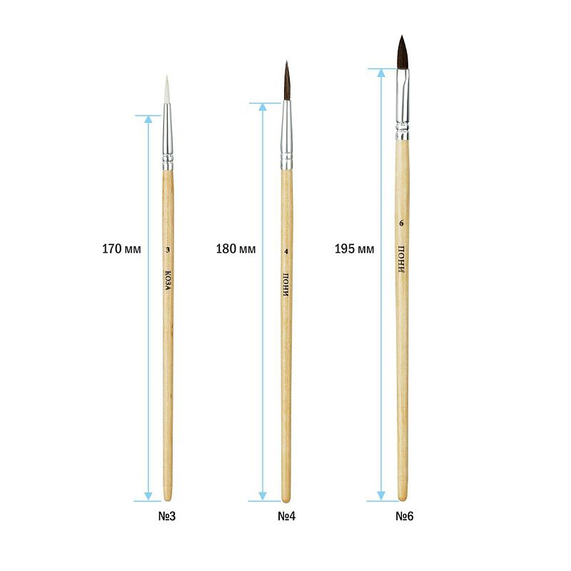 Набор кистей ArtSpace 3шт., Коза, круглая № 3, Пони, круглая № 4, Пони, плоская № 6, блистер, европодвес