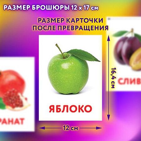 Карточки Домана, 8 развивающих брошюр по методике ГЛЕНА ДОМАНА, 145 изображений, ЮНЛАНДИЯ, 691022 