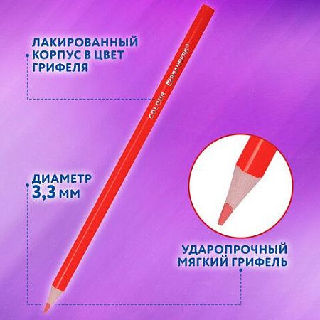 Карандаши цветные BRAUBERG PREMIUM 50 цветов в тубе, трехгранные, мягкий грифель 3,3 мм, 181935