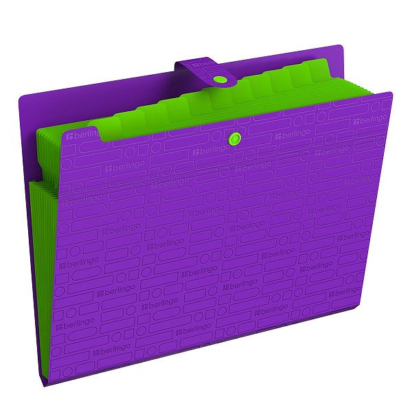 Папка 12 отделений Berlingo "Your Way", А4, 600мкм, на кнопке, фиолетовая