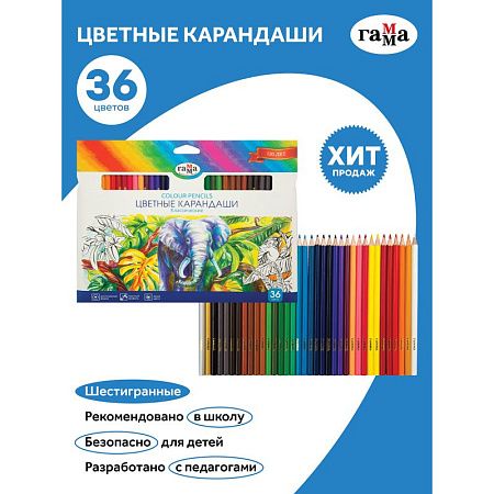 Карандаши цветные Гамма "Классические", 36цв., заточен., картон. упаковка, европодвес