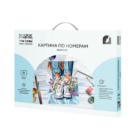 Картина по номерам на холсте ТРИ СОВЫ "Ромашки в кедах", 30*40, с акриловыми красками и кистями