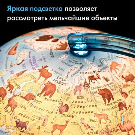 Глобус зоогеографический GLOBEN "Классик Евро", диаметр 250 мм, с подсветкой, детский, Ке012500270 