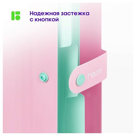 Папка 5 отделений Berlingo "Haze", А4, 600мкм, на кнопке, розовая, софт-тач 