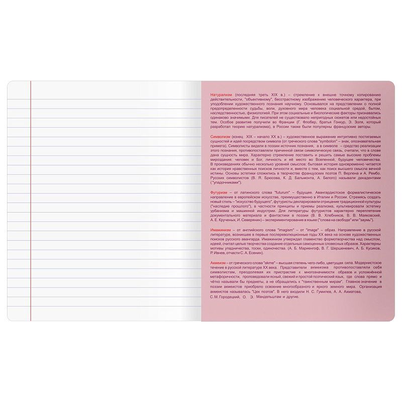 Тетрадь предметная 48л. BG "Информационное поле" - Литература, soft-touch ламинация, выб. лак