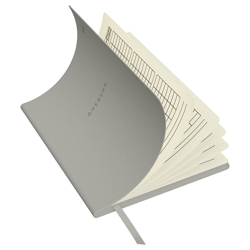 Дневник 1-11 кл. 48л. (ЛАЙТ) BG "Total gray", иск. кожа, тиснение, цветн. срез, ляссе