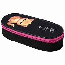 Пенал-футляр BRAUBERG, 1 отделение, органайзер, полиэстер, 22x9х5 см, Angry kitty, 273566