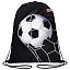 Мешок для обуви ПИФАГОР, 1 отделение, 40х32 см, Ball kick, 272386