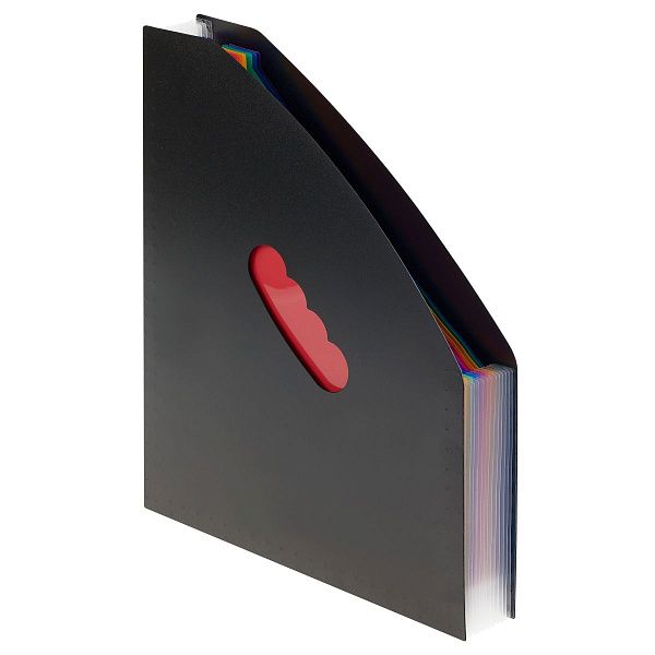 Лоток-органайзер для хранения документов СТАММ А4, 13 отделений,  черный