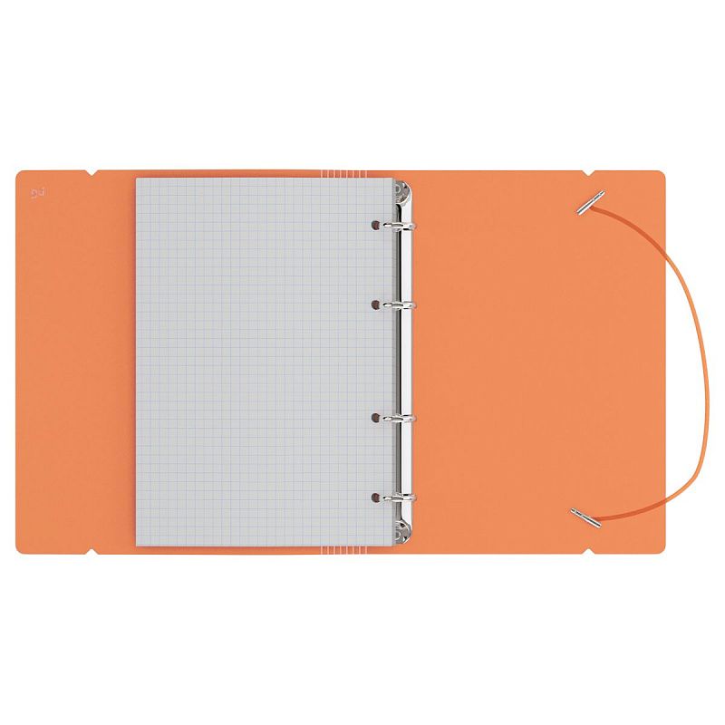 Тетрадь на кольцах А5, 120л., BG "Neon", пластиковая обложка, оранжевый, с резинкой