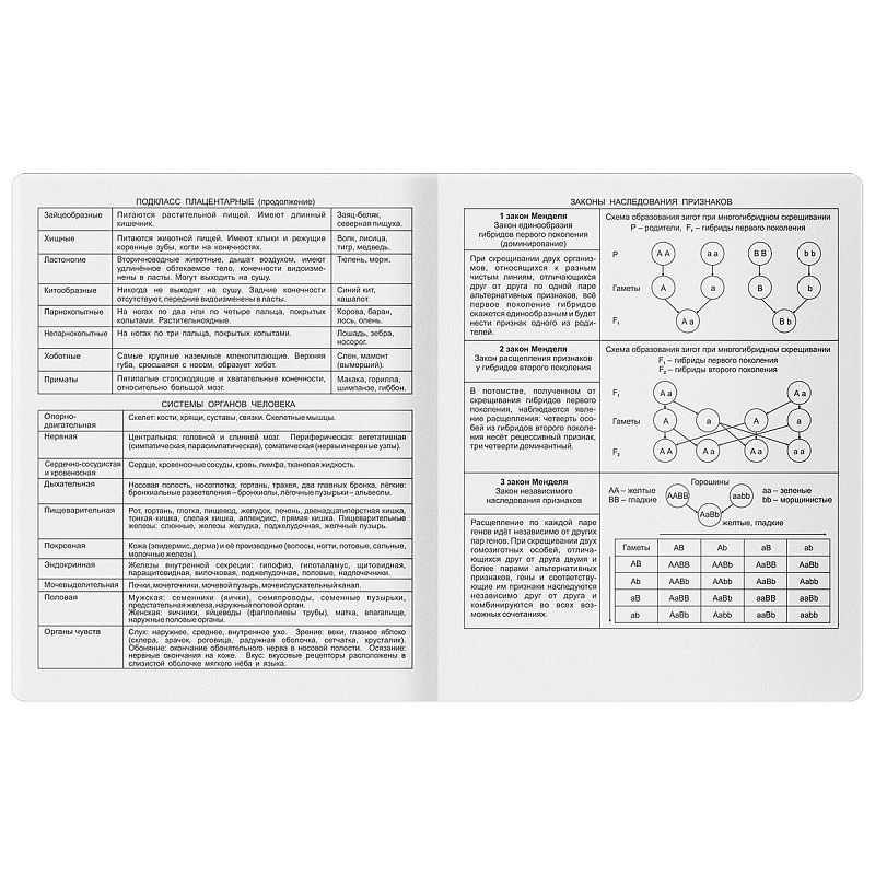 Тетрадь предметная 48л. BG "Гармония знаний" - Биология, soft-touch ламинация