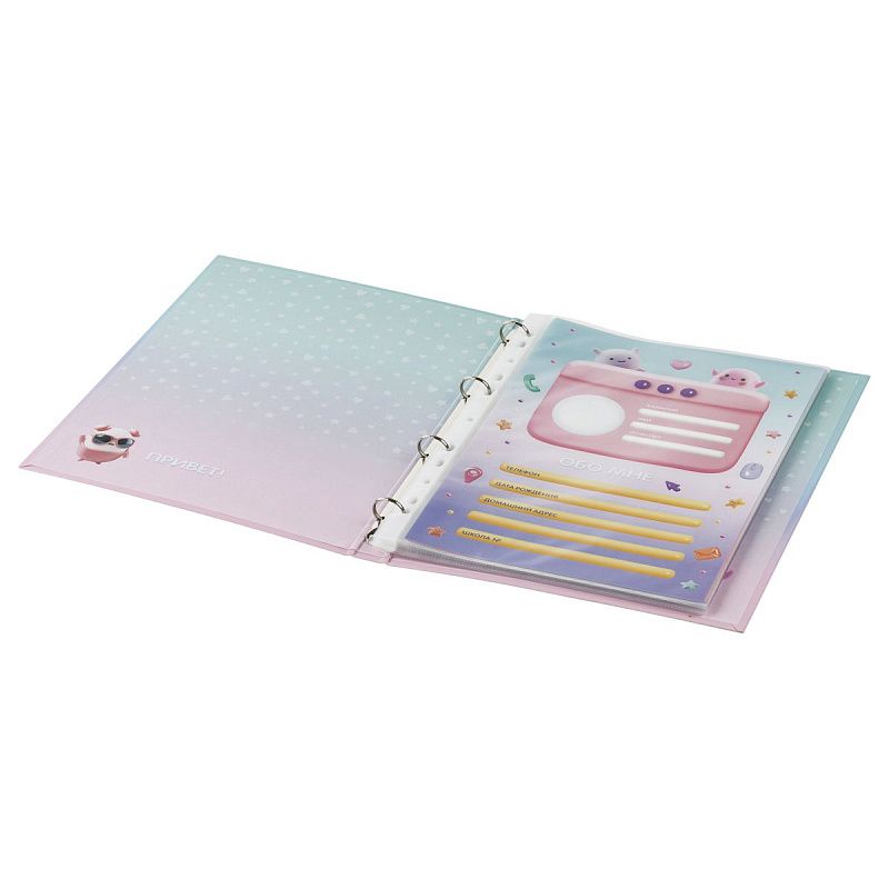 Папка-портфолио 7БЦ А4 BG, на 4 кольцах для школьницы, 20 файлов, 10 вкладышей 