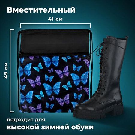 Мешок для обуви BRAUBERG БОЛЬШОЙ, с ручкой, карман на молнии, сетка, 49х41 см, "Fly aways", 272402 
