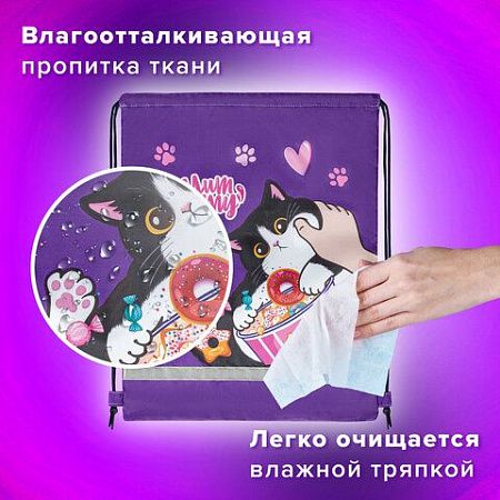 Мешок для обуви BRAUBERG KIDS, с петлей, светоотражающая полоса, 46х36 см, Sweet cheeks, 272390 