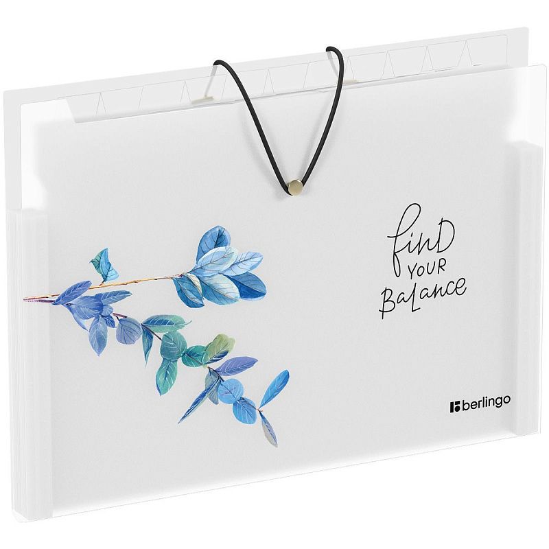 Папка 12 отделений Berlingo "Spring, А4, 600мкм, на резинке