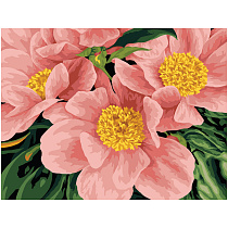 УЦЕНКА - Картина по номерам на картоне ТРИ СОВЫ "Розовый цвет", 30*40, с акриловыми красками и кистями