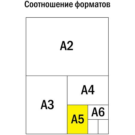 Тетрадь предметная 48л. ArtSpace "Котоцинизм" - Обществознание, ТВИН-лак