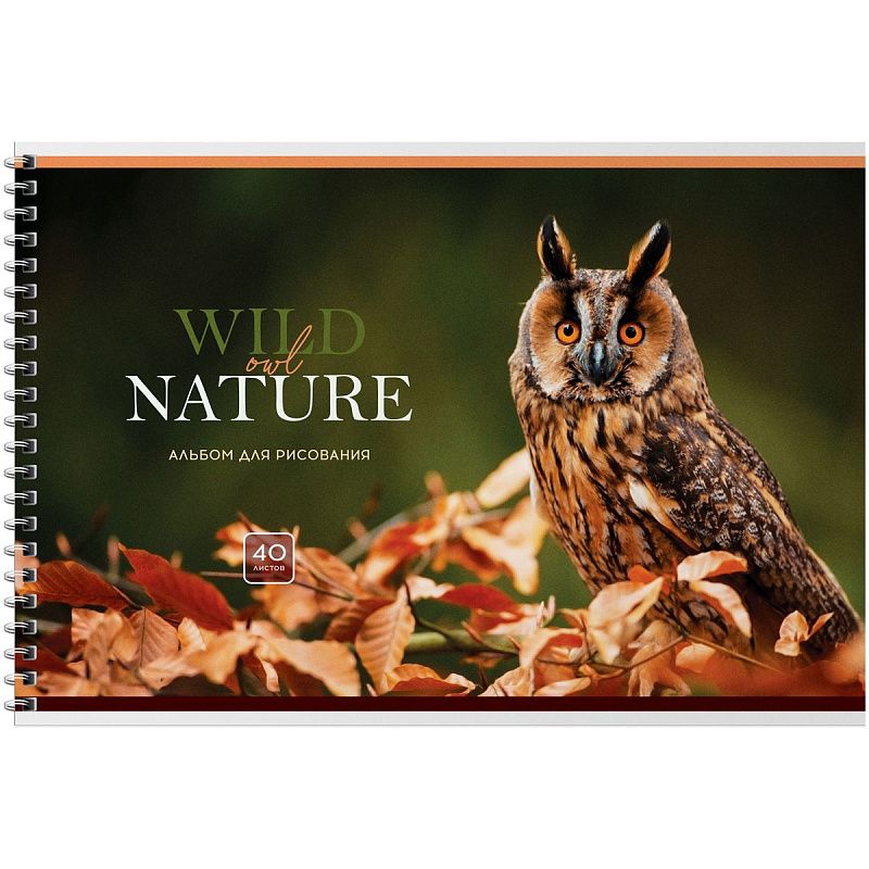 Альбом для рисования 40л., А4, на гребне BG "Wild nature"