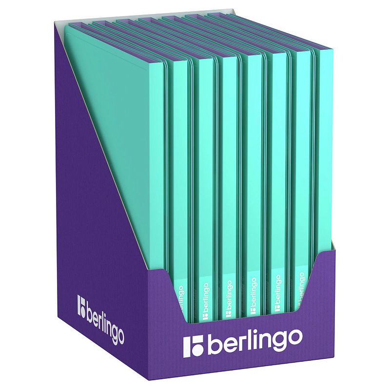 Папка с 20 вкладышами Berlingo "Haze", 14мм, 600мкм, с внутр. карманом, мятная, софт-тач 