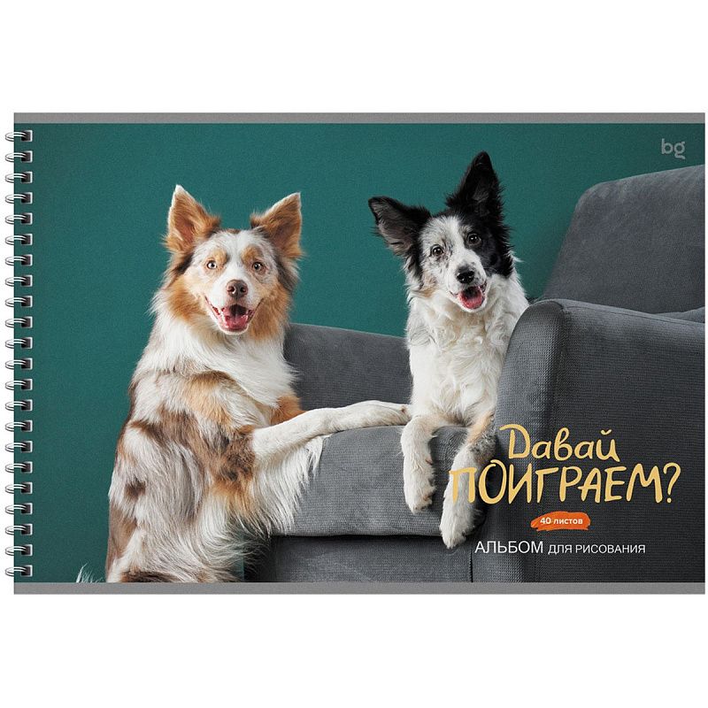 Альбом для рисования 40л., А4, на гребне BG "Домашние питомцы"
