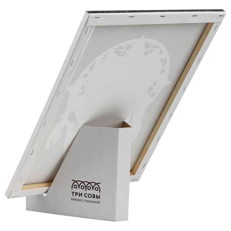 Картина по номерам на холсте с глиттером ТРИ СОВЫ "Ловец снов", 30*40, с акриловыми красками и кистями