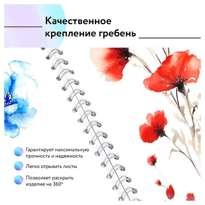 Альбом для рисования 40л., А4, на гребне BG "Хвостатый гонщик"