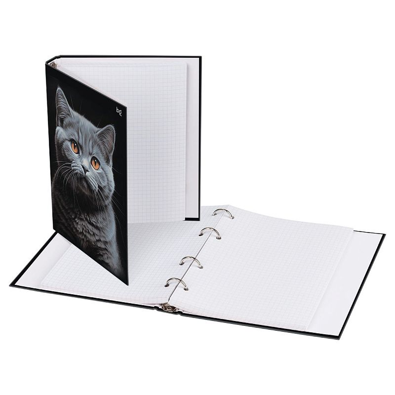 Тетрадь на кольцах А5, 160л., BG "Кот", глянцевая ламинация