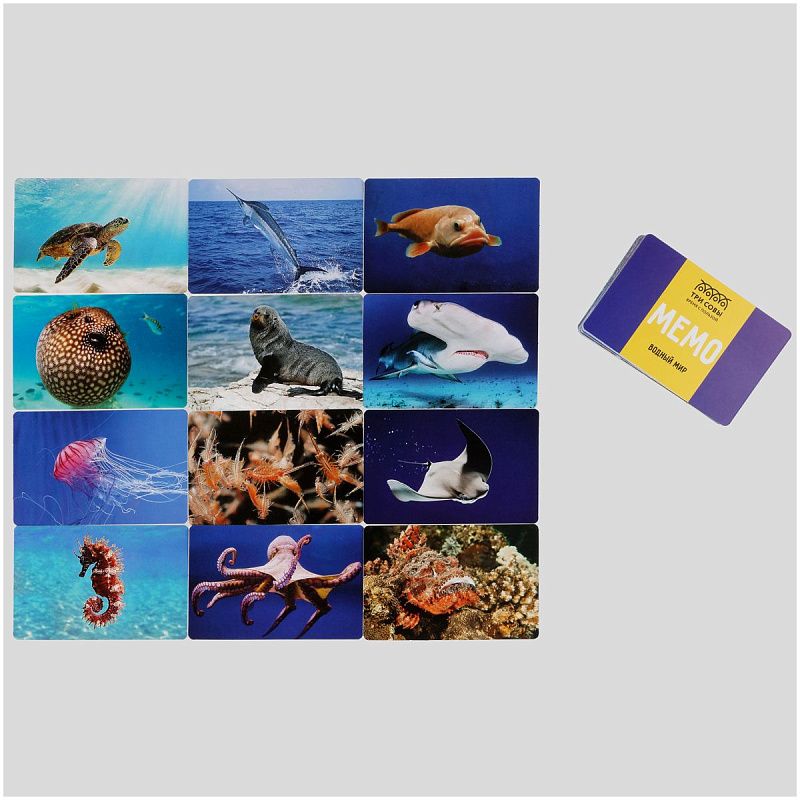 Игра настольная ТРИ СОВЫ "Мемо. Водный мир ", 50 карточек, картонная коробка 