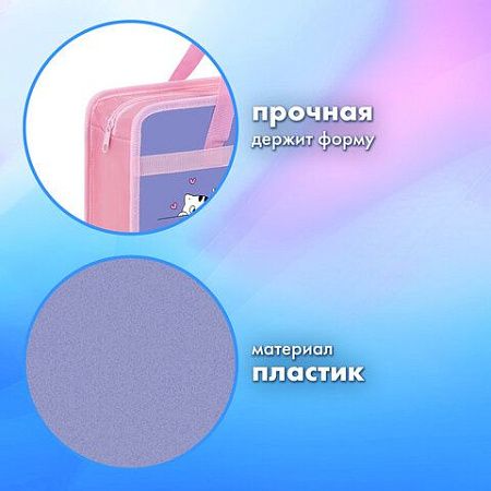 Папка на молнии с ручками BRAUBERG А4, 1 отделение, пластик, 80 мм, "Meow", 272163 