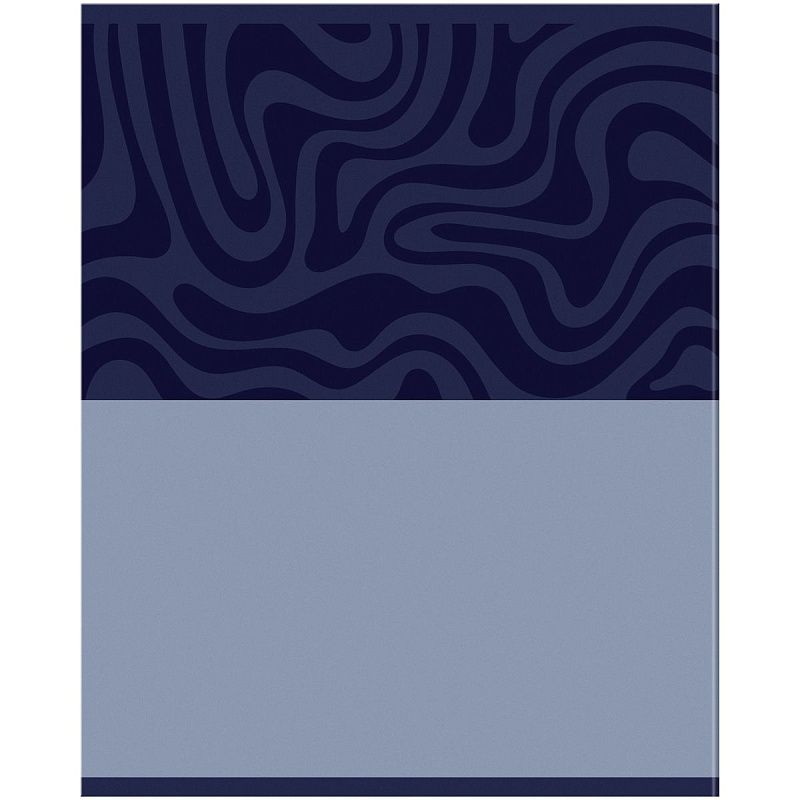 Комплект (12 шт.) предметных тетрадей 48л. BG "Single colour", эконом