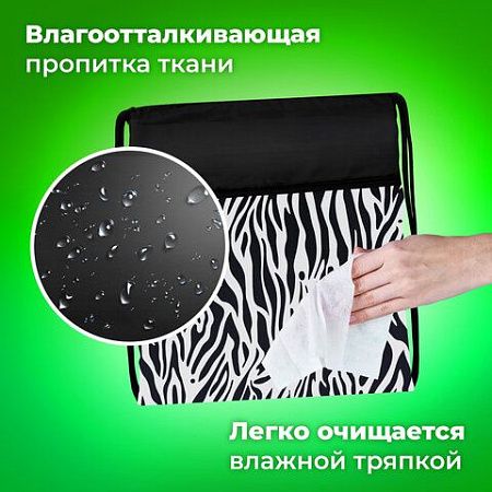 Мешок для обуви BRAUBERG БОЛЬШОЙ, с ручкой, карман на молнии, сетка, 49х41 см, "Zebra", 271611 