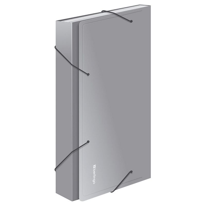 Папка 13 отделений Berlingo "Standard", А4, 700мкм, на резинке, ассорти 