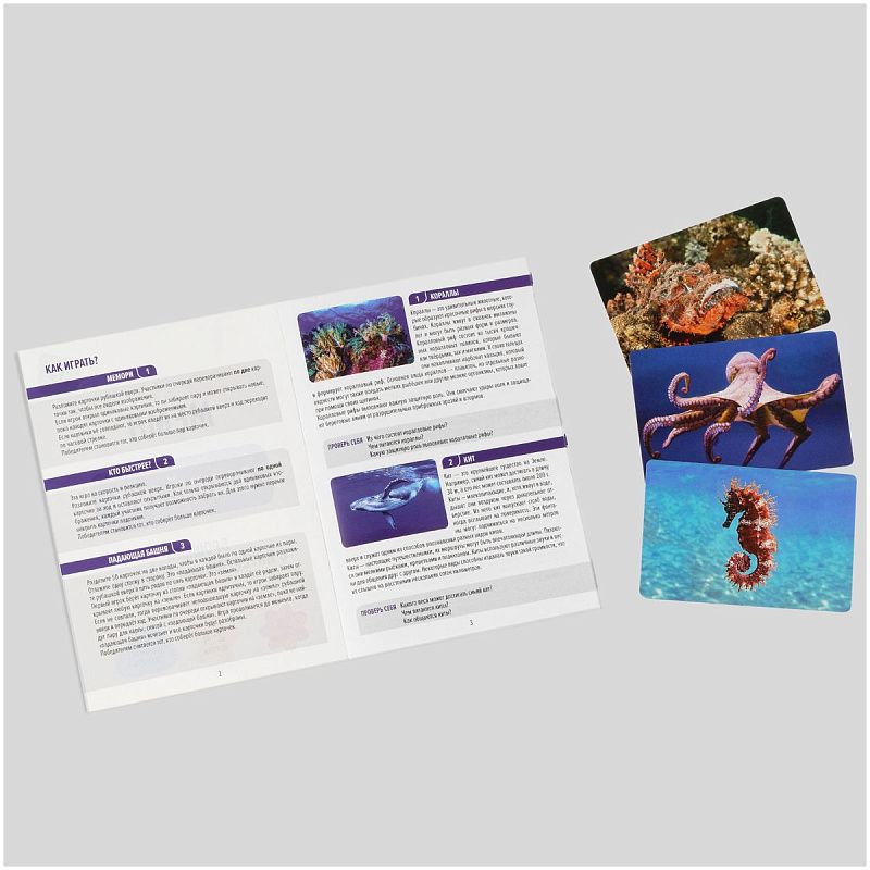 Игра настольная ТРИ СОВЫ "Мемо. Водный мир ", 50 карточек, картонная коробка 